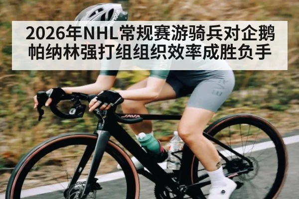 2026年NHL常规赛游骑兵对企鹅 帕纳林强打组组织效率成胜负手
